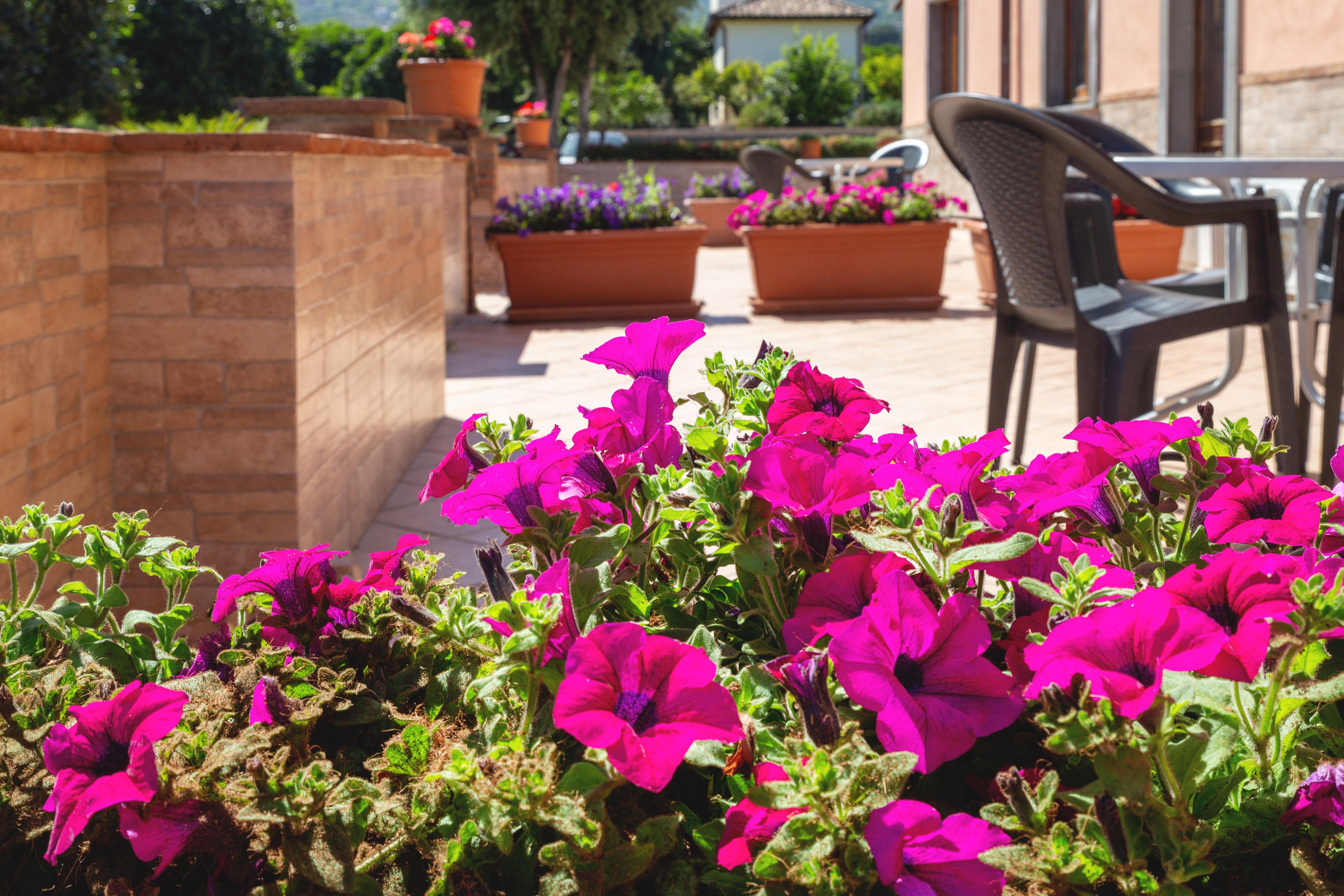 La Terra Dei Sogni Country Hotel Fiumefreddo di Sicilia Eksteriør billede